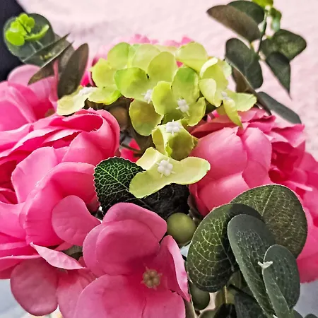 Siebter Himmel By Interhome Appartement Bad Ischl